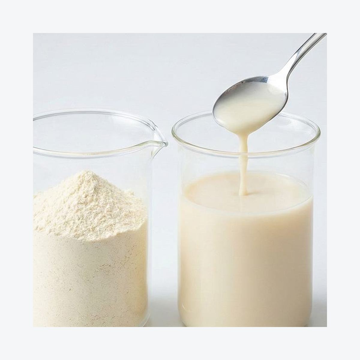 Quinoa Powder for Bulk Ingredient Sourcing product detail image 8