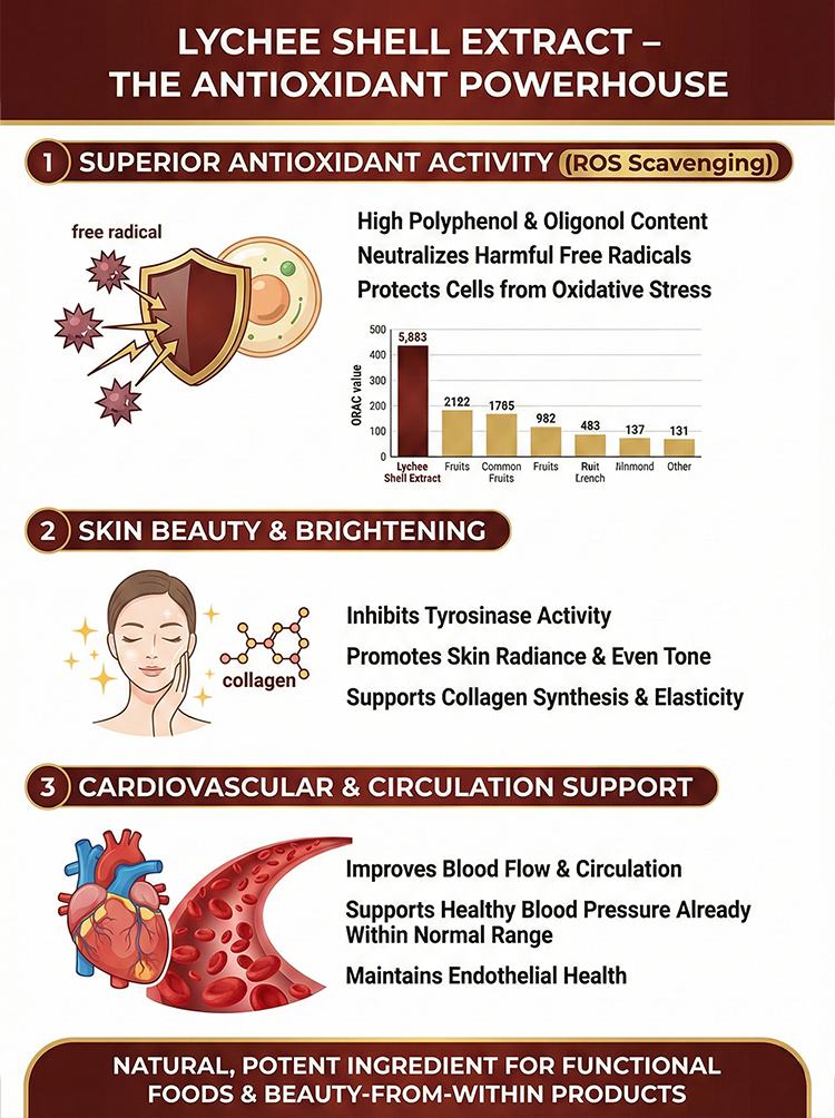 Litchi Peel Extract product detail image 7