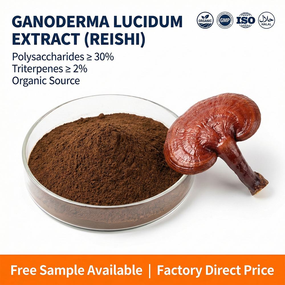 Reishi Mushroom Extract