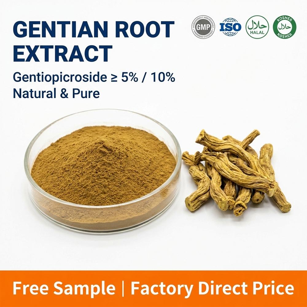 Chinese Gentian Root Extract