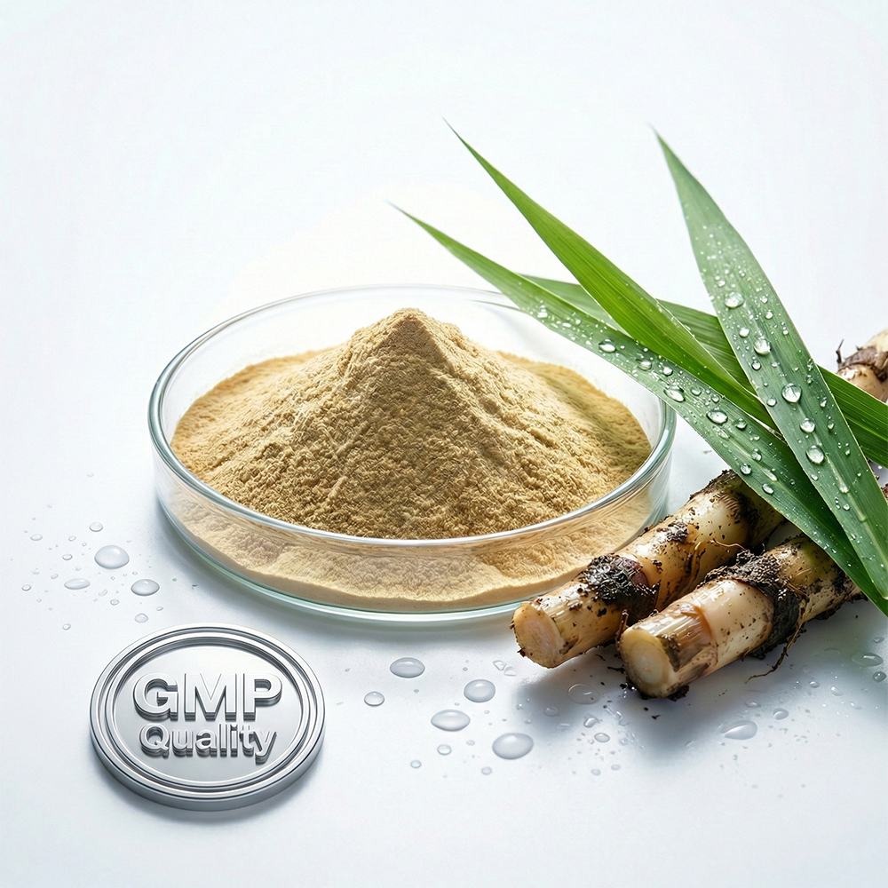Reed Rhizome Extract