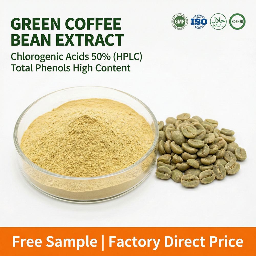 Green Coffee Bean Extract