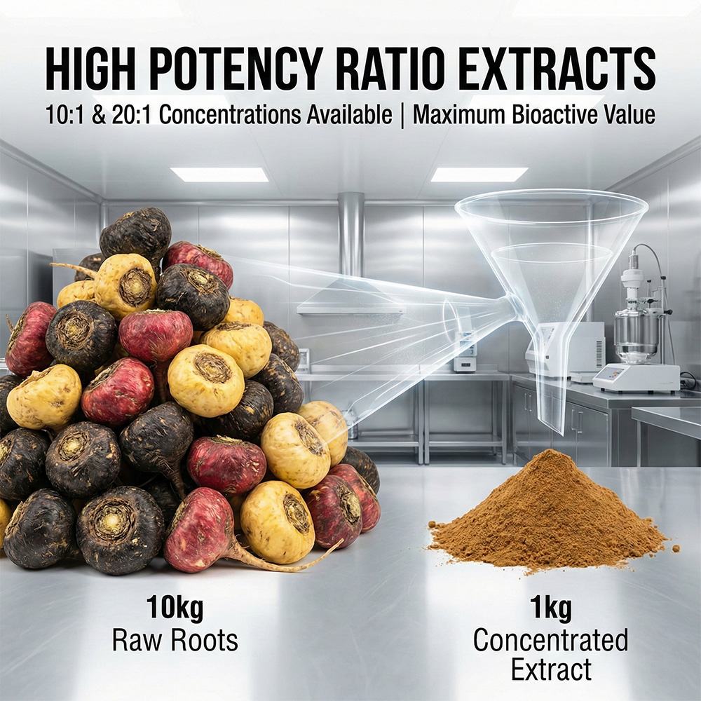 Maca Extract product detail image 2