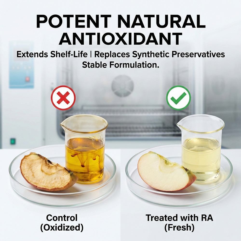 Rosemary Extract product detail image 4