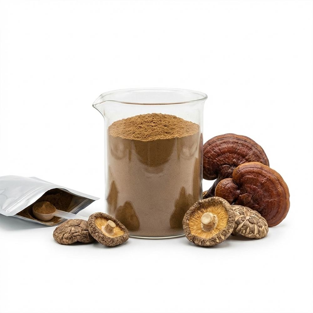 Mushroom Extract