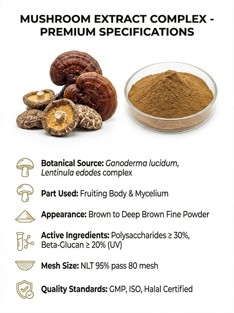 Mushroom Extract product detail image 7
