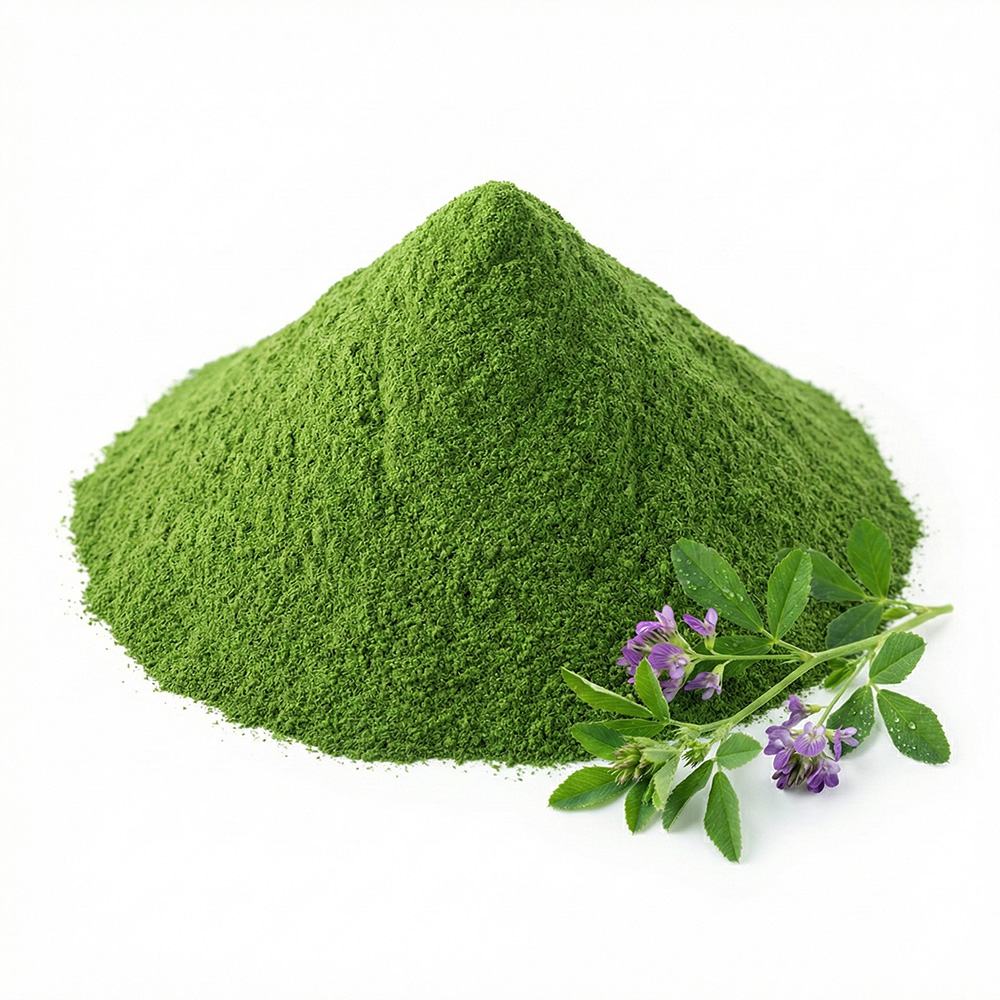 Alfalfa Powder