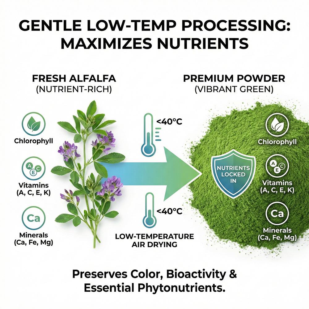 Alfalfa Powder product detail image 2