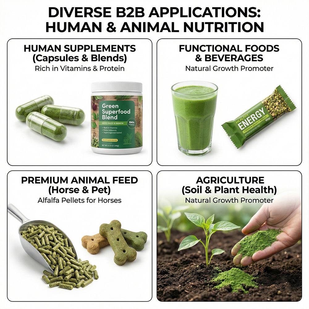 Alfalfa Powder product detail image 6