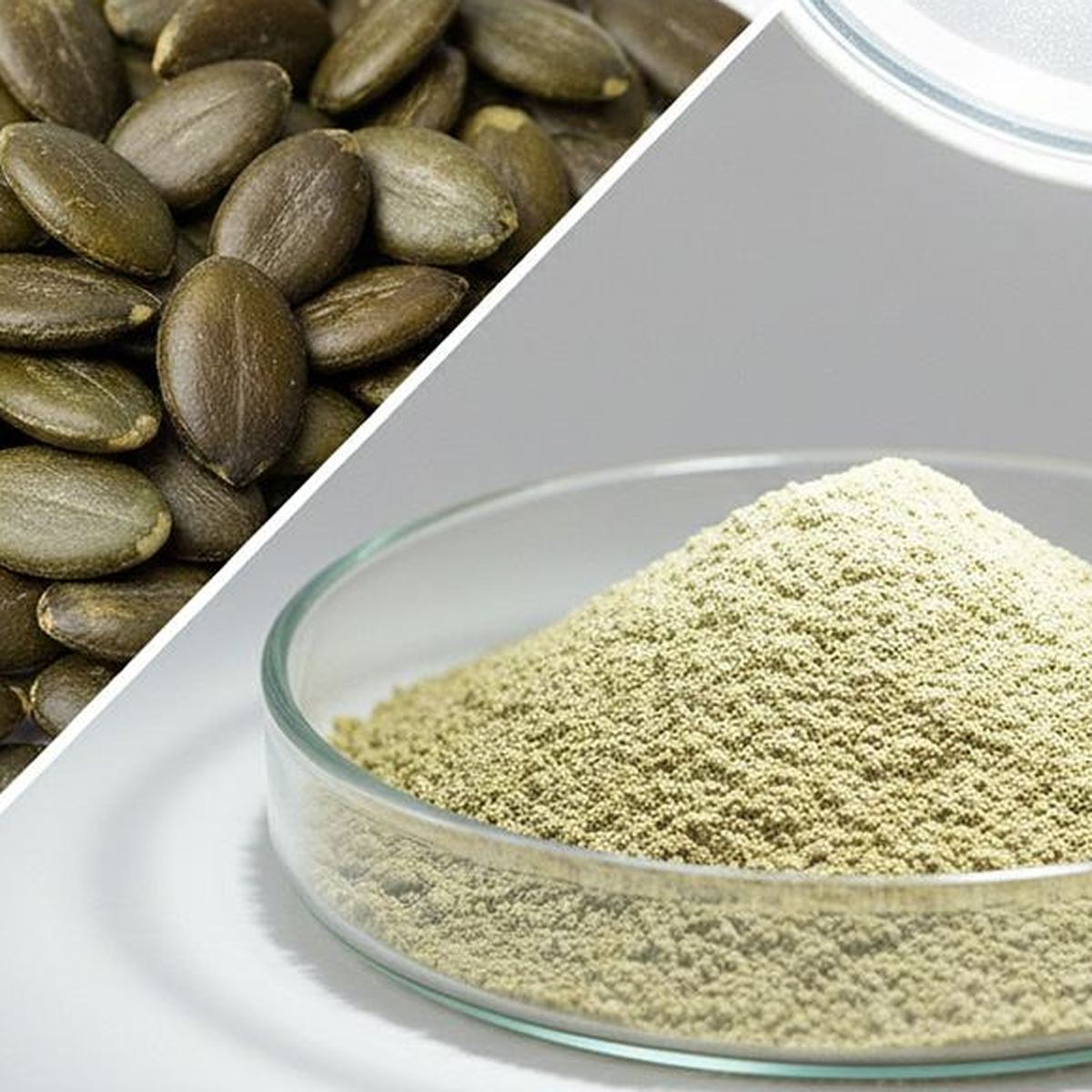 Pumpkin Seed Protein Powder for Bulk Ingredient Sourcing product main image