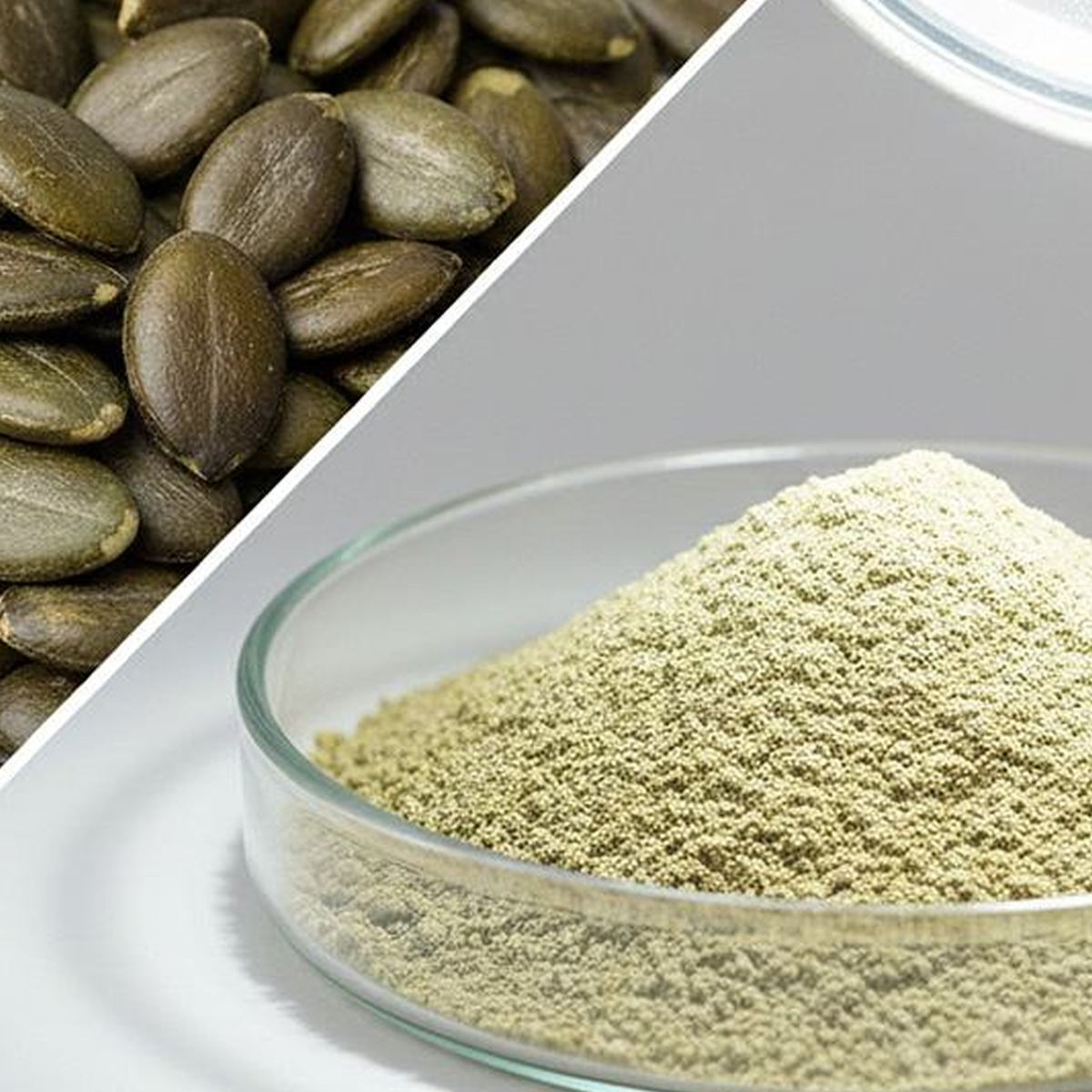 Pumpkin Seed Protein Powder for Bulk Ingredient Sourcing product detail image 2