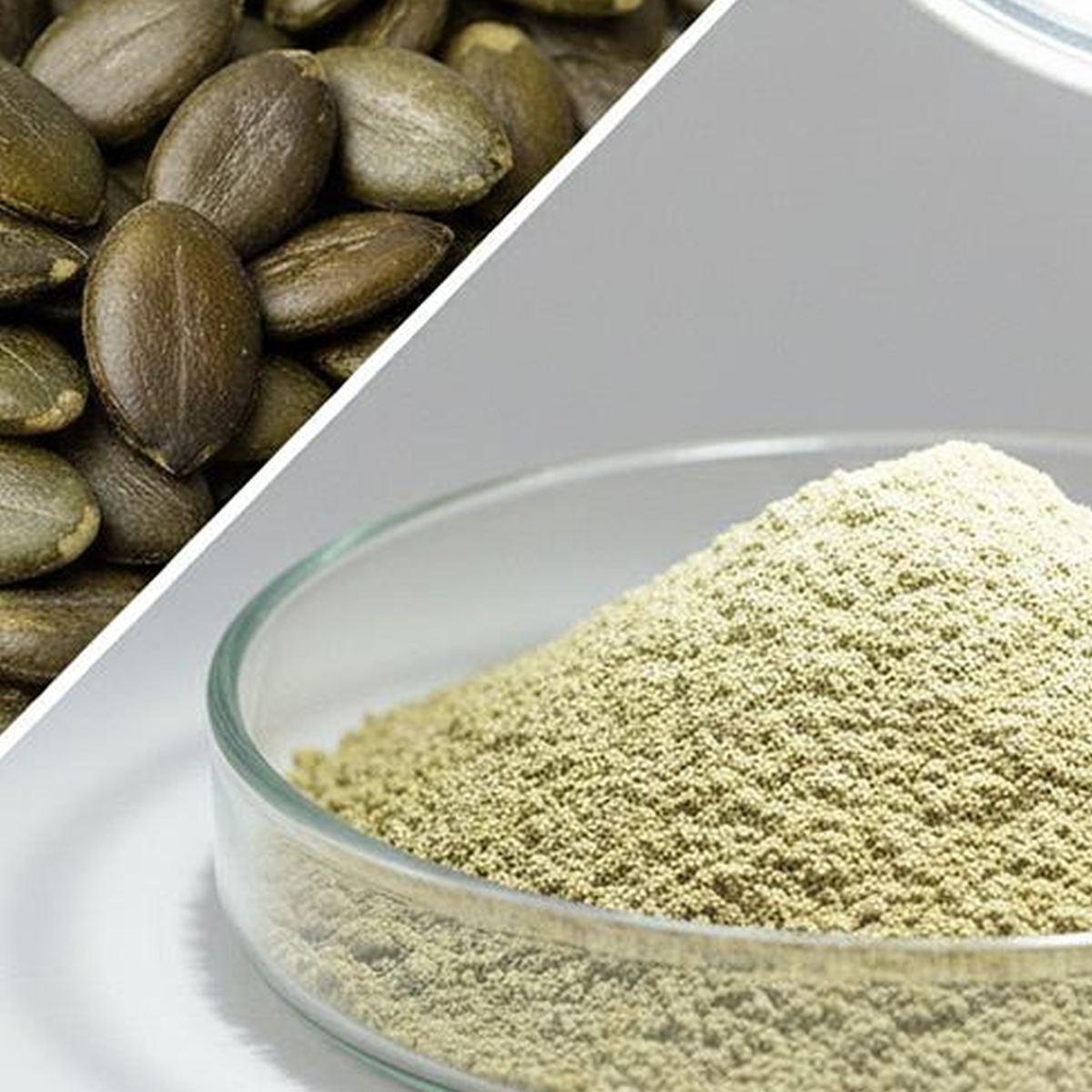 Pumpkin Seed Protein Powder for Bulk Ingredient Sourcing product detail image 3