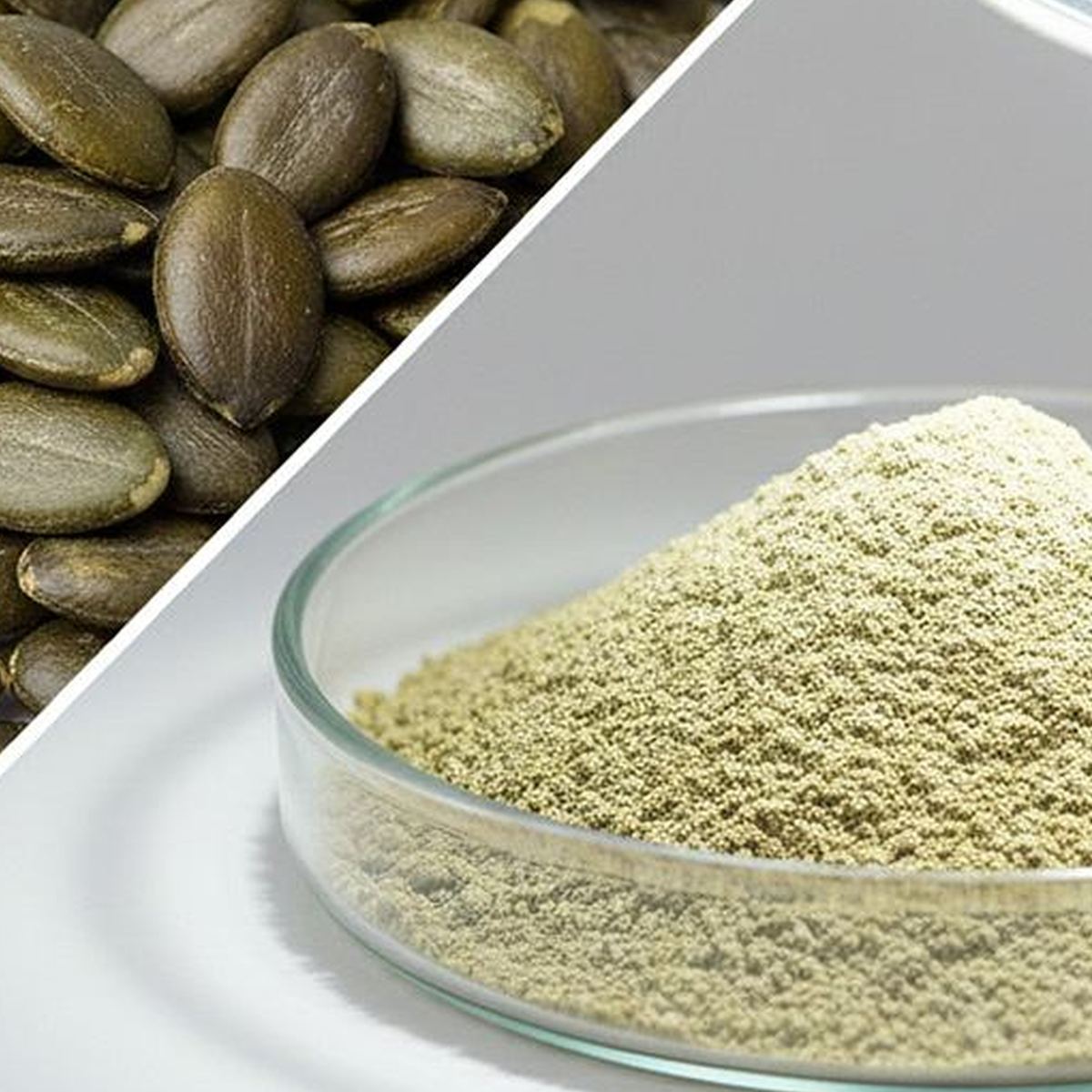 Pumpkin Seed Protein Powder for Bulk Ingredient Sourcing product detail image 4