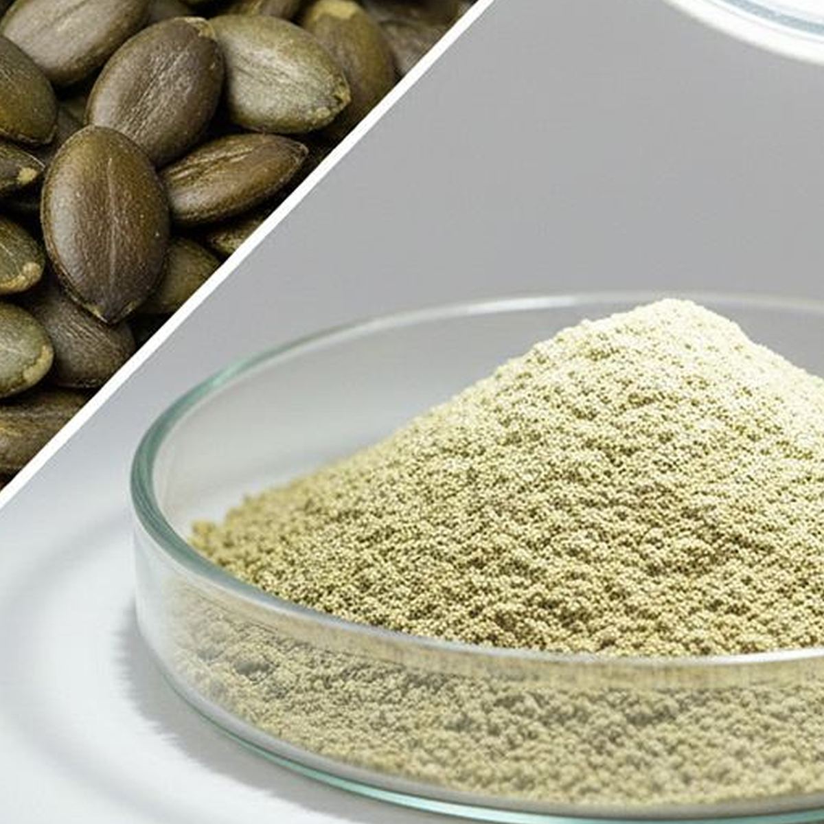 Pumpkin Seed Protein Powder for Bulk Ingredient Sourcing product detail image 5