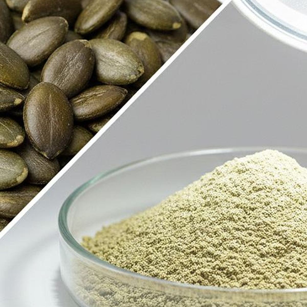 Pumpkin Seed Protein Powder for Bulk Ingredient Sourcing product detail image 6