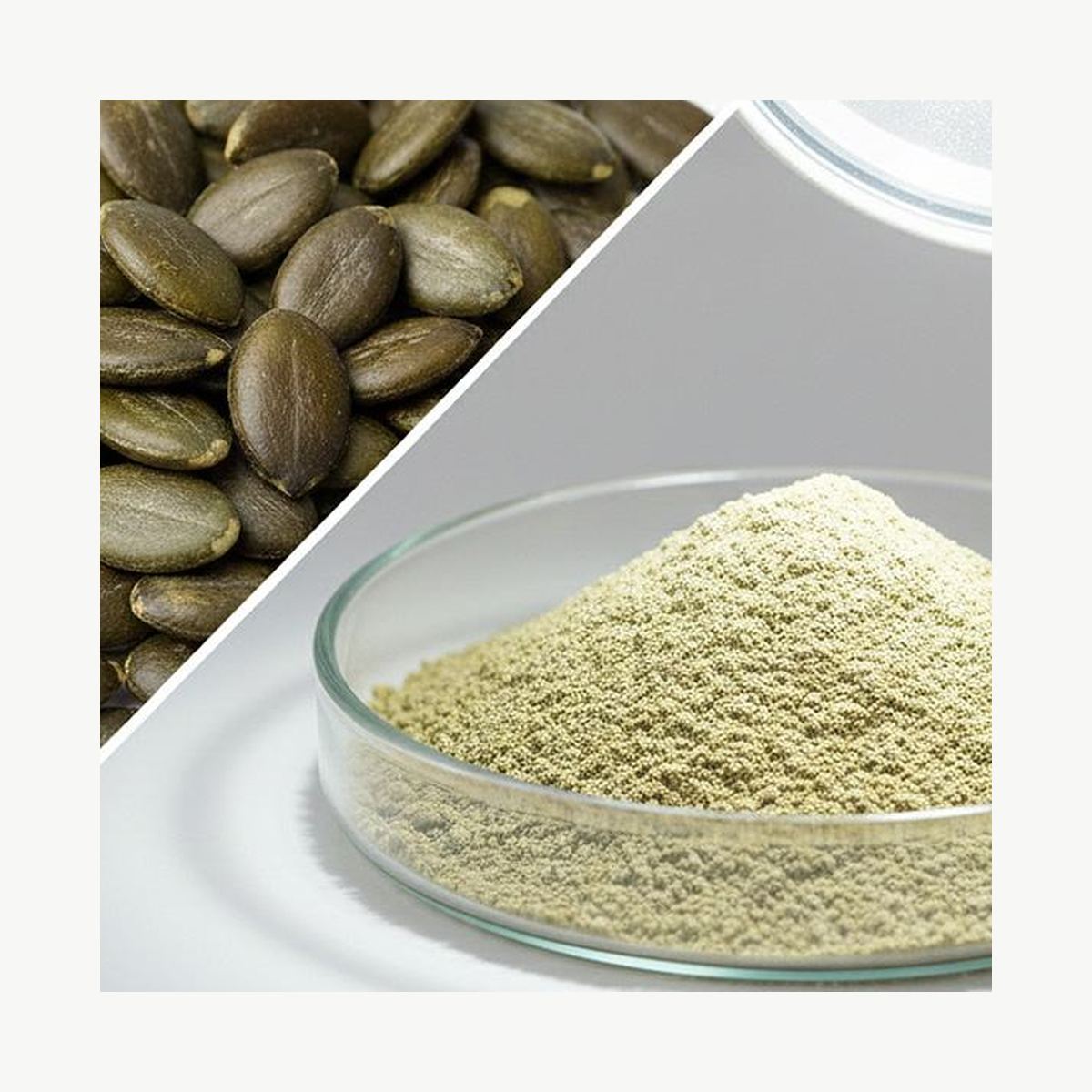 Pumpkin Seed Protein Powder for Bulk Ingredient Sourcing product detail image 7