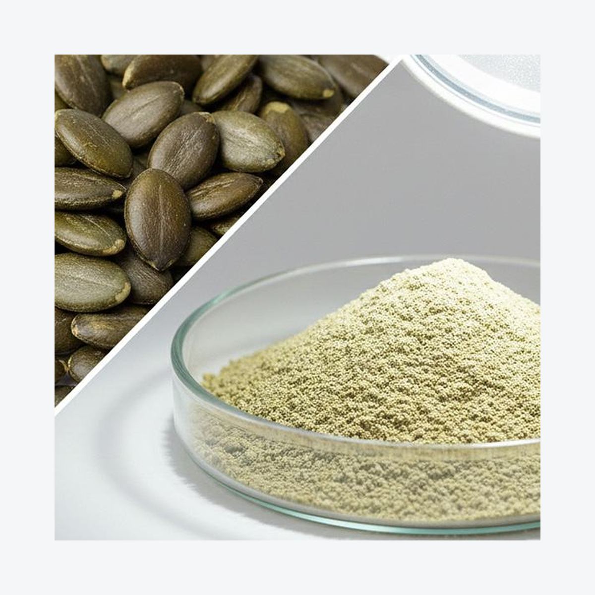 Pumpkin Seed Protein Powder for Bulk Ingredient Sourcing product detail image 8