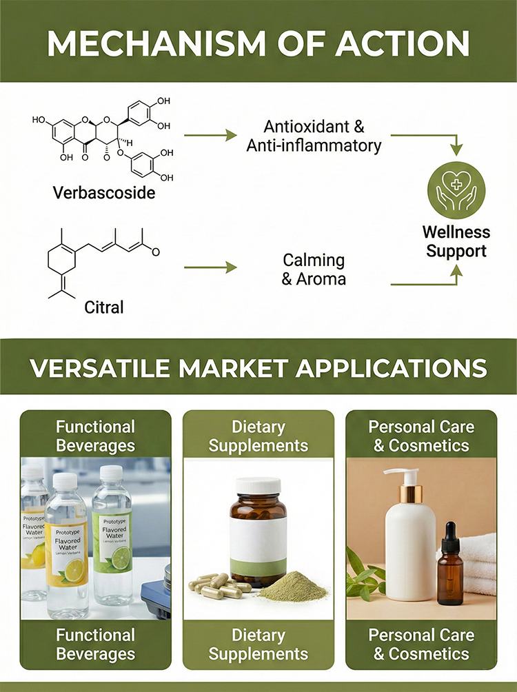 Lemon Verbena Extract Powder product detail image 8