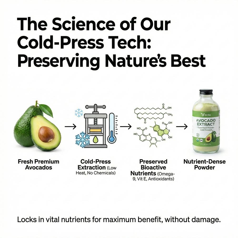 Avocado Extract product detail image 3