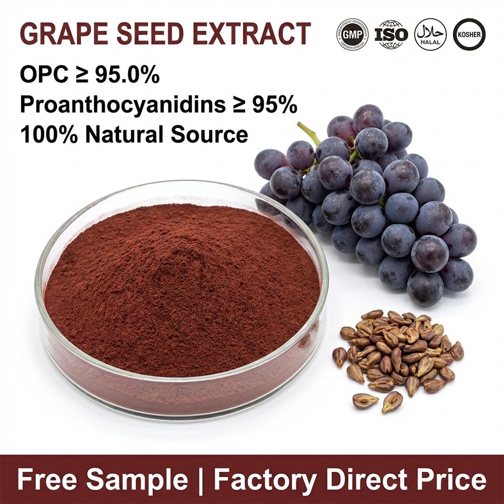 Grape Seed Extract product detail image 2