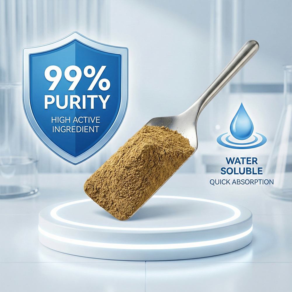 Paris Polyphylla Extract Powder product detail image 4