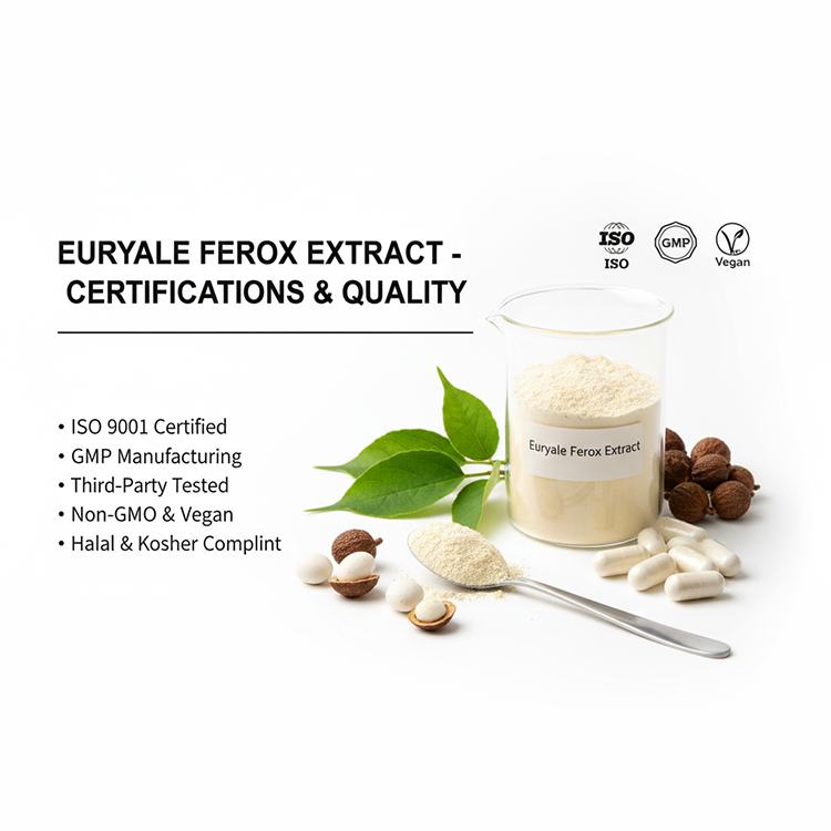 Fox Nut Extract product detail image 7