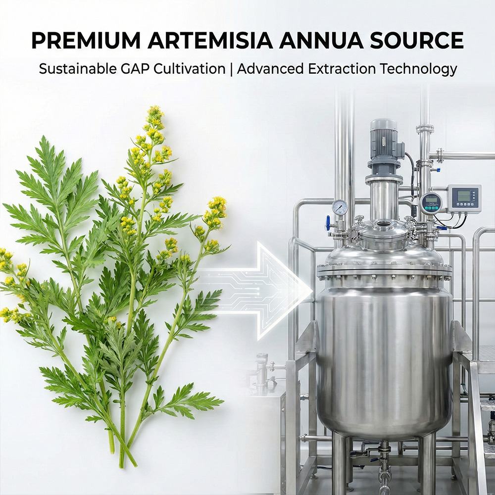 COA 99% Artemisinin SWE-260313 product detail image 6