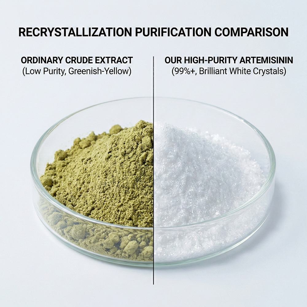 Artemisia Annua Extract product detail image 2