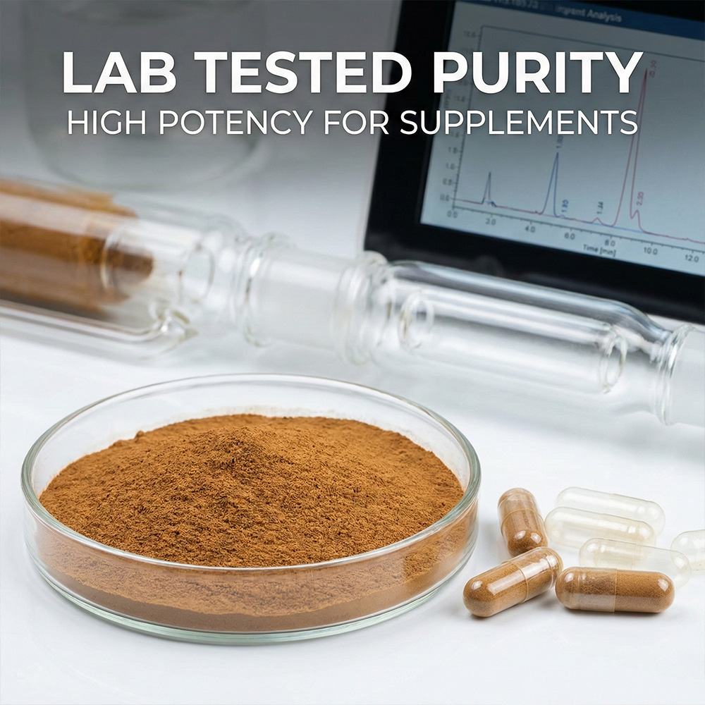 Cinnamon Powder product detail image 5