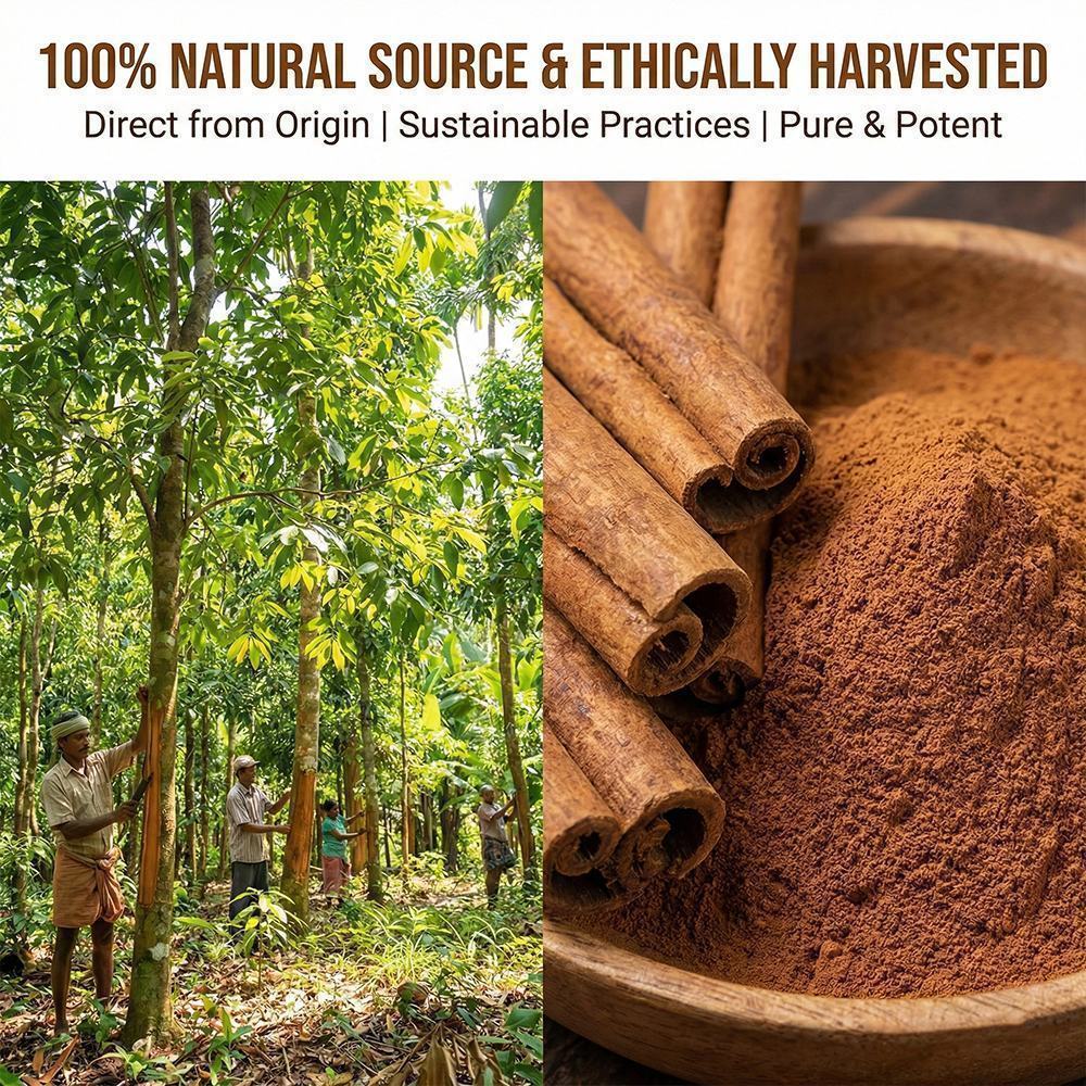 Cinnamon Bark Extract product detail image 3