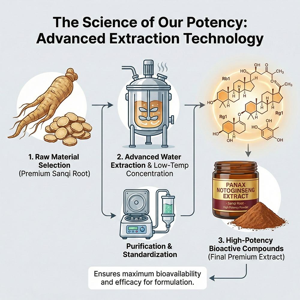 Panax Notoginseng Extract product detail image 3