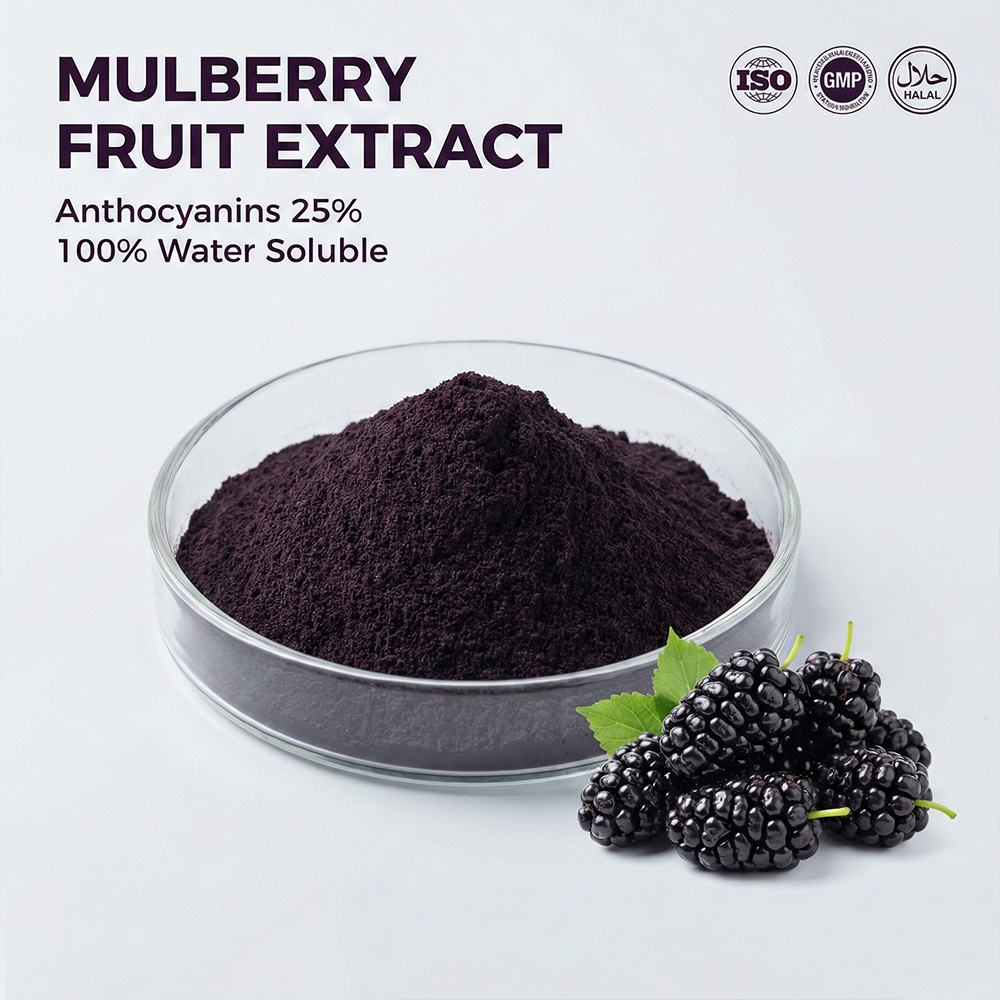 Mulberry Extract