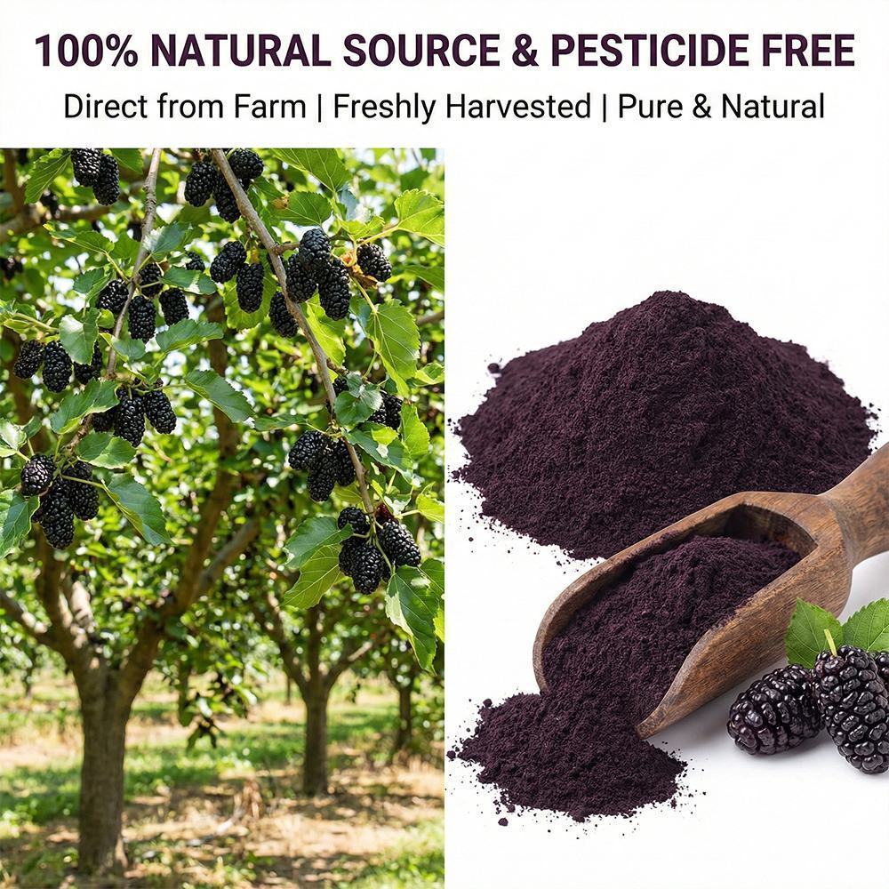 Mulberry Extract product detail image 3