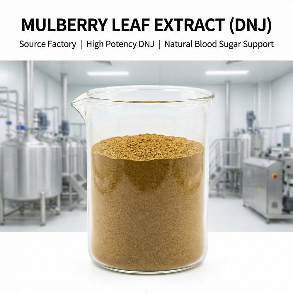 Mulberry Leaf Extract