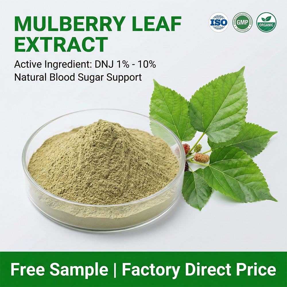 Mulberry Leaf Extract