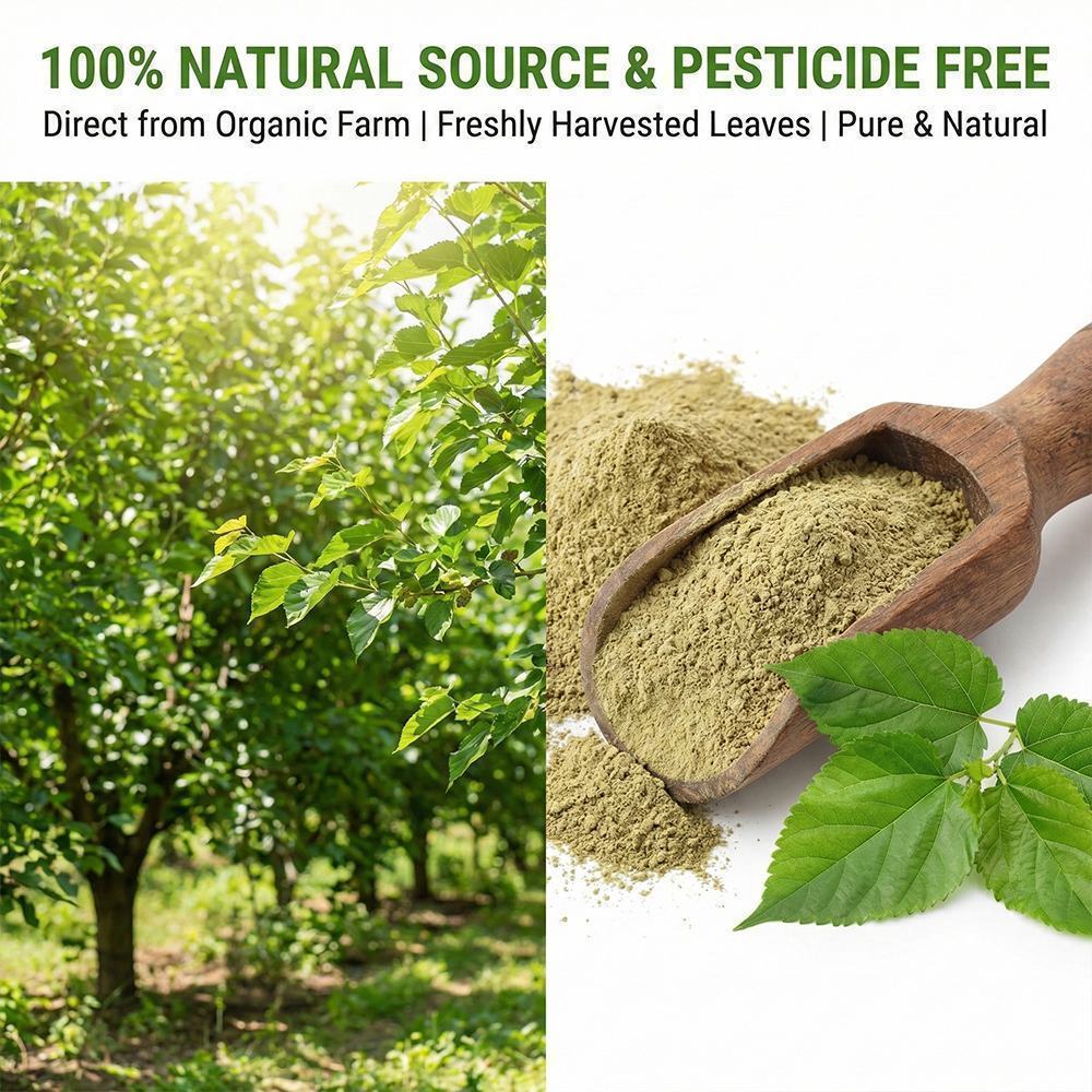 Mulberry Leaf Extract product detail image 3