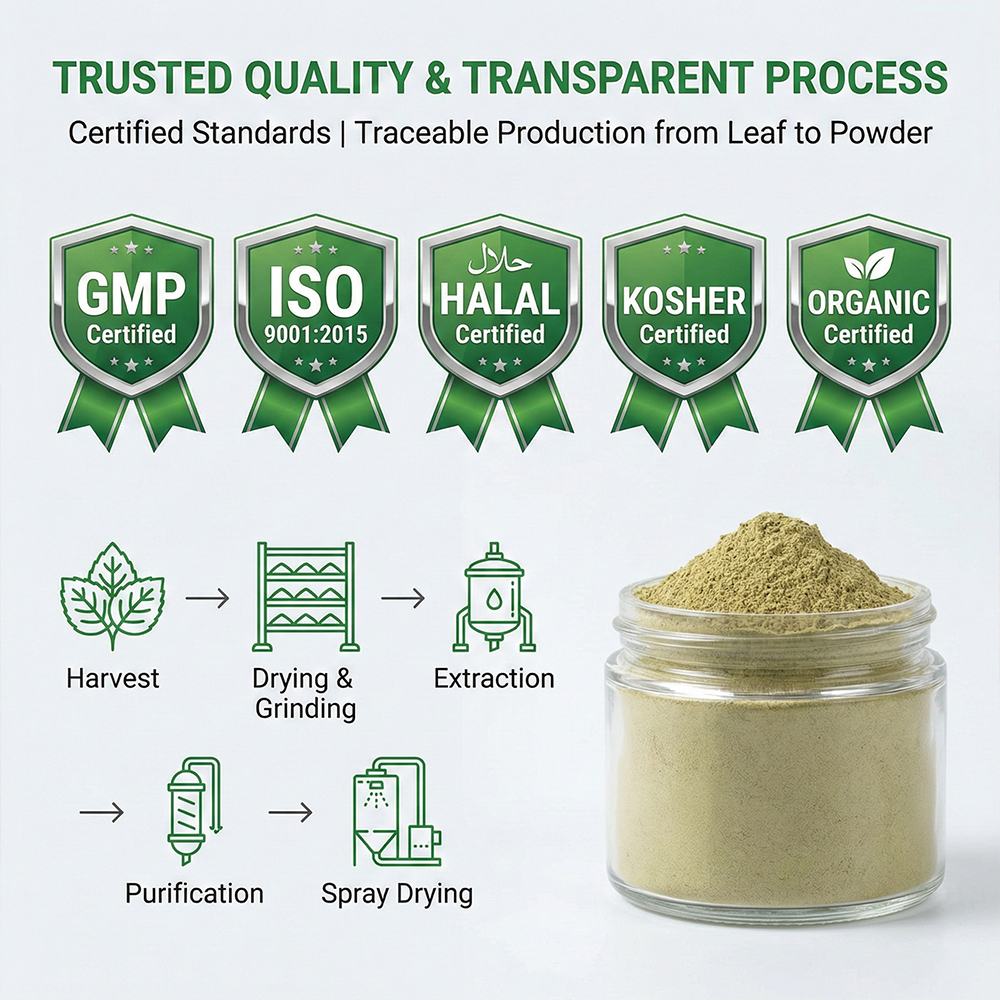 Mulberry Leaf Extract product detail image 5