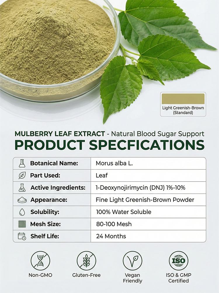 Mulberry Leaf Extract product detail image 7