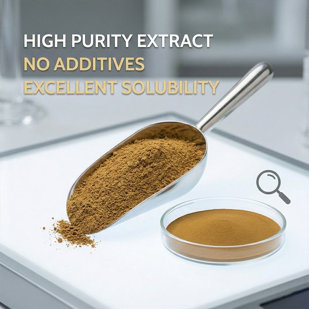 Villous Amomum Fruit Extract product detail image 3