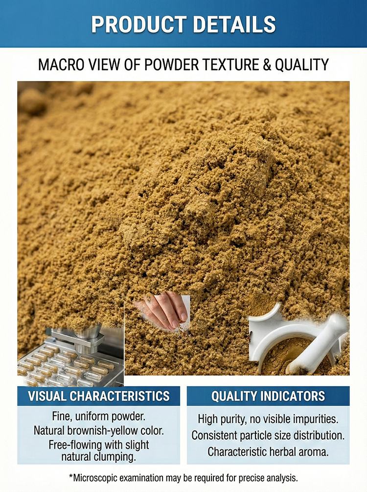 Villous Amomum Fruit Extract product detail image 8
