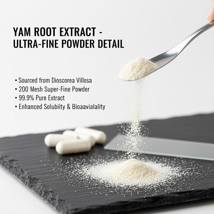Chinese Yam Extract product detail image 5