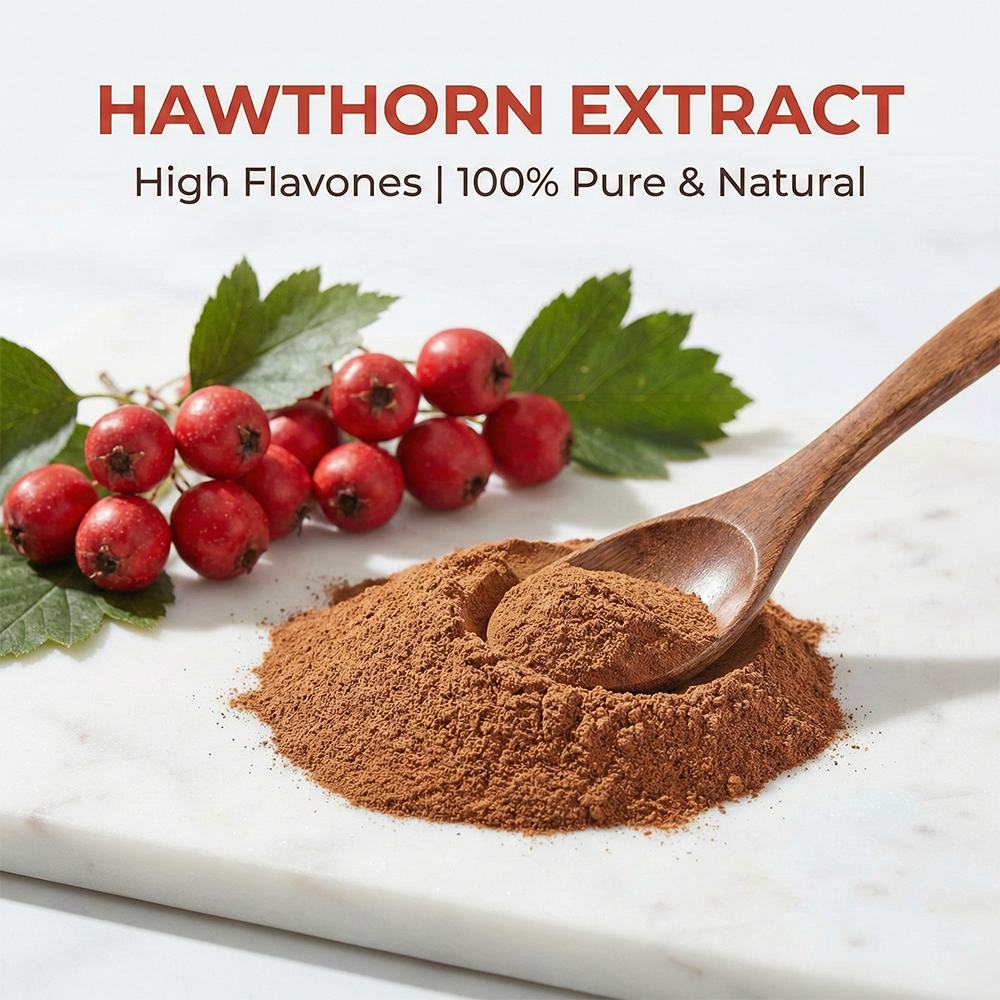 Hawthorn Extract