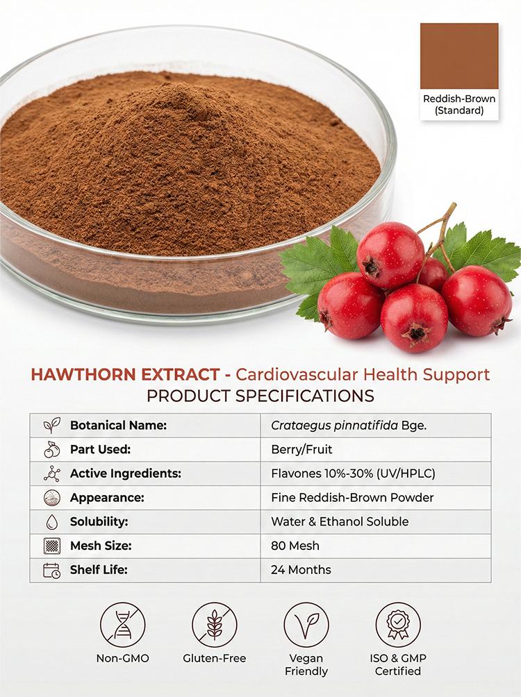 Hawthorn Extract product detail image 7