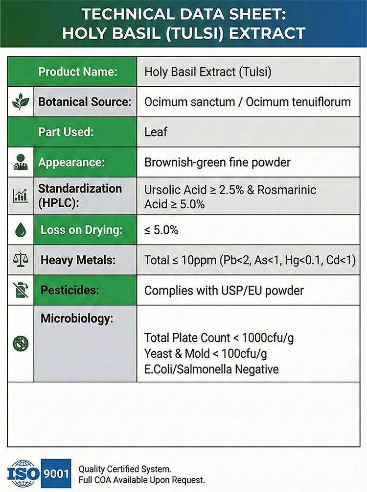 Holy Basil Extract product detail image 7