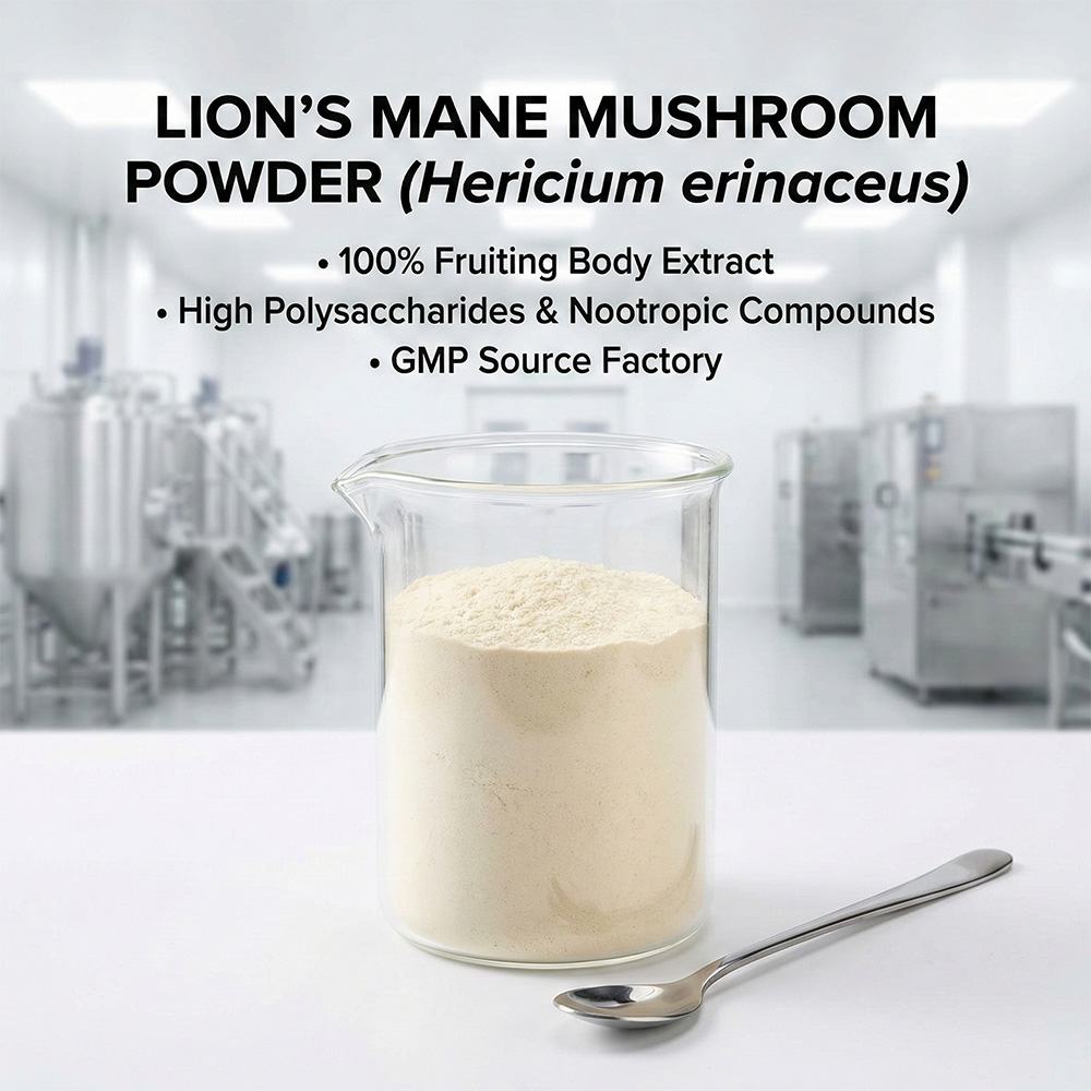 Hericium Erinaceus Powder