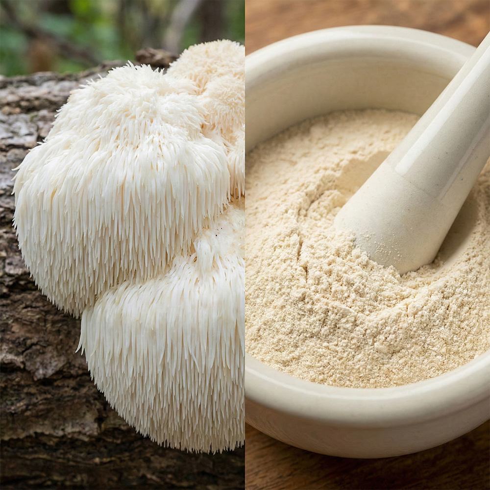 Hericium Erinaceus Powder product detail image 2