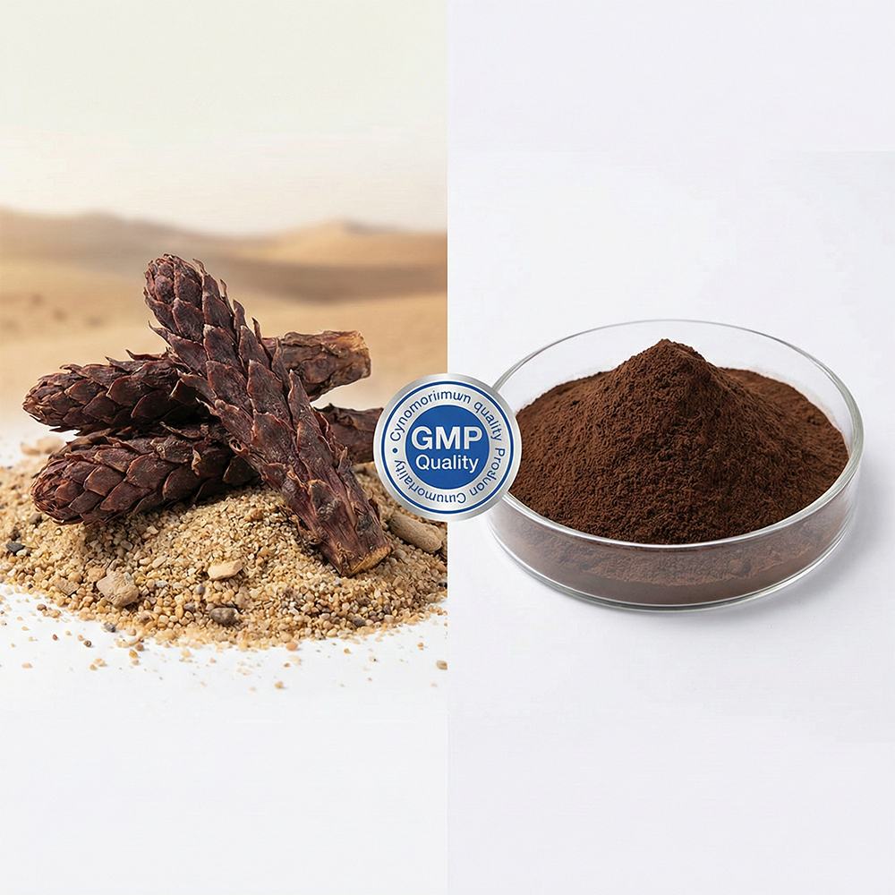 Cynomorium Extract