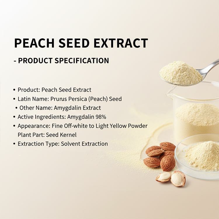 Peach Kernel Extract product detail image 4