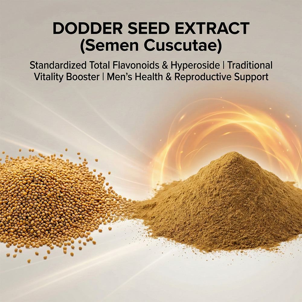 Cuscuta Seed Extract