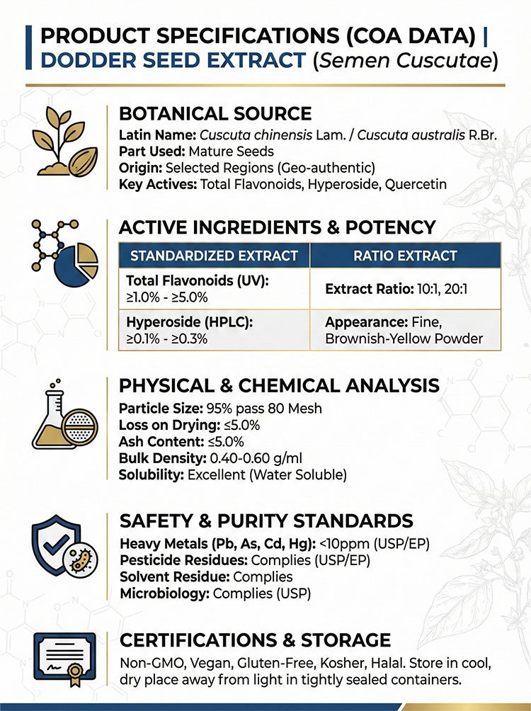 Cuscuta Seed Extract product detail image 7